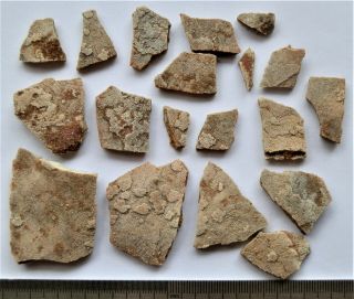 9 Devonian Armor (placoderms) Fish Fragment.  Rare