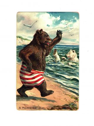 Antique Raphael Tuck Little Bears Series In Swim Trunks A Morning Dip Postcard
